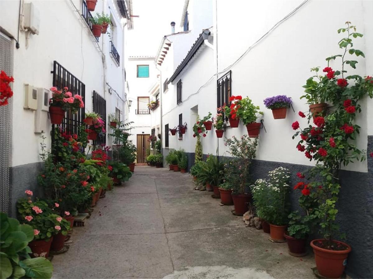 Villa Casa Veva - Siles Exterior foto